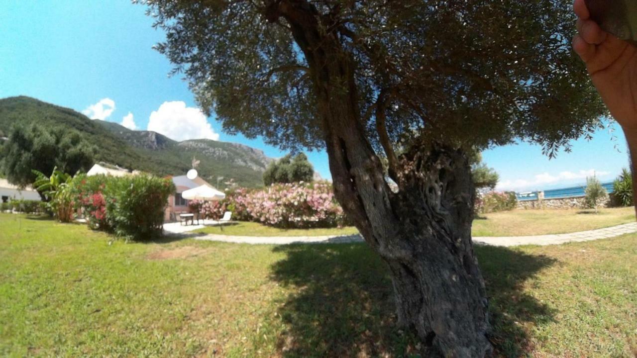 Barbati Beach Holiday Apartment, Corfu,Greece المظهر الخارجي الصورة